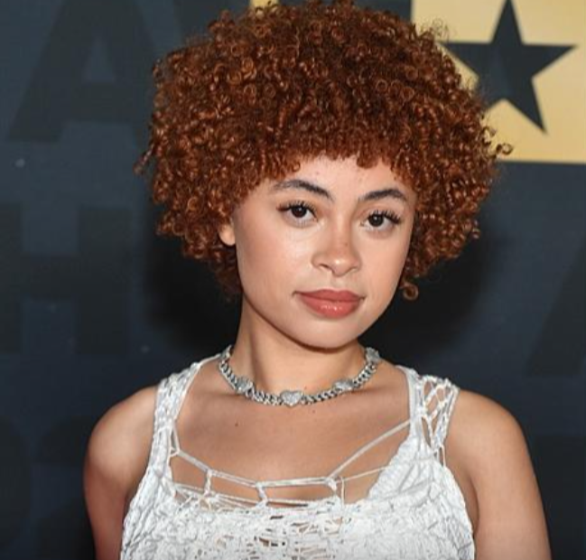 Ice Spice Net Worth 2024 Darb Doroteya